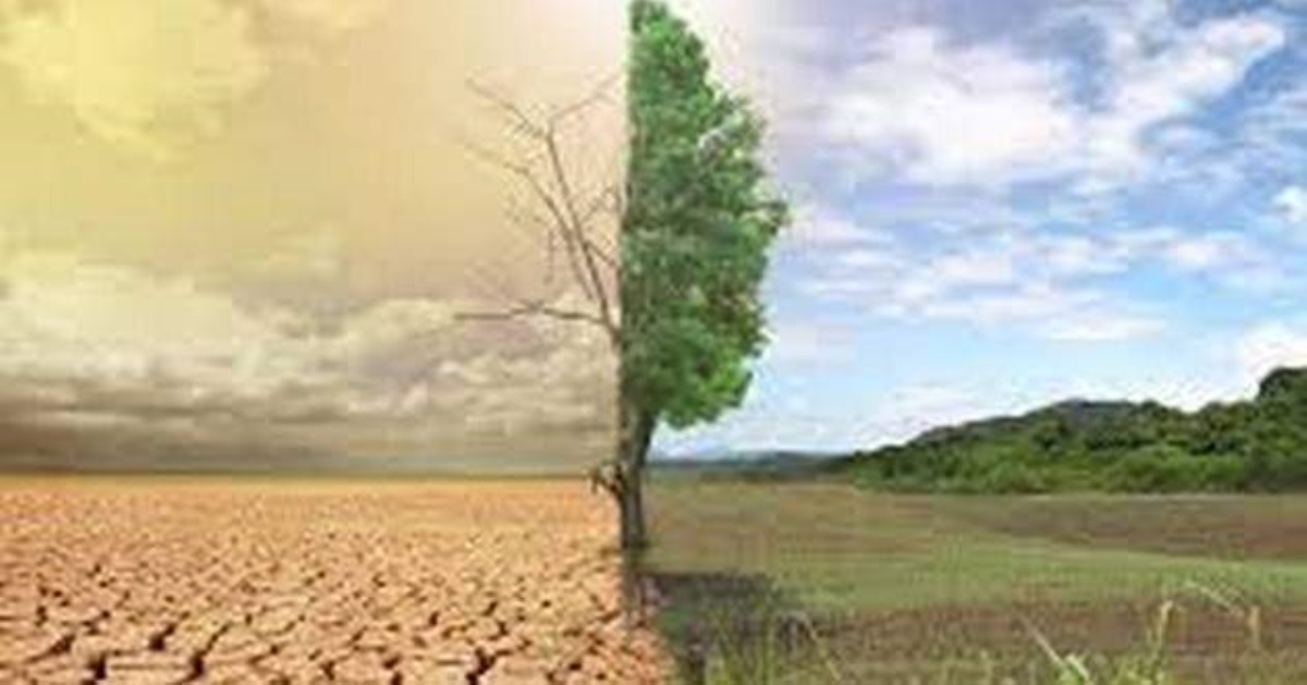 Украине предсказали аномальную смену климата: чего ждать