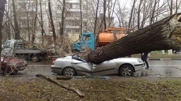 Непогода в Украине: что делать, если на ваше авто упало дерево