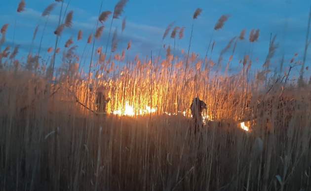 Поджог сухой травы обернулся трагедией на Харьковщине
