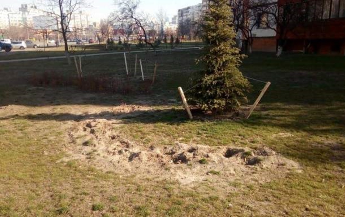В киевском сквере украли сотни кустов можжевельника и сосны