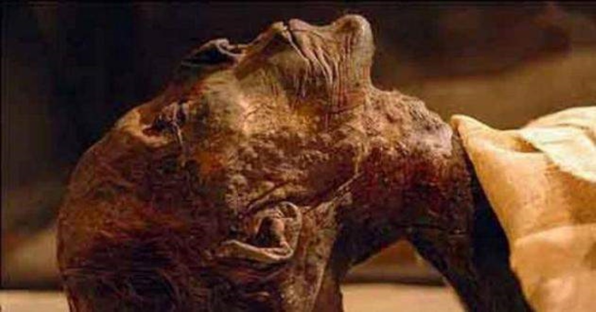 Археолог дотронулся к мумии жреца бога магии: страшные последствия