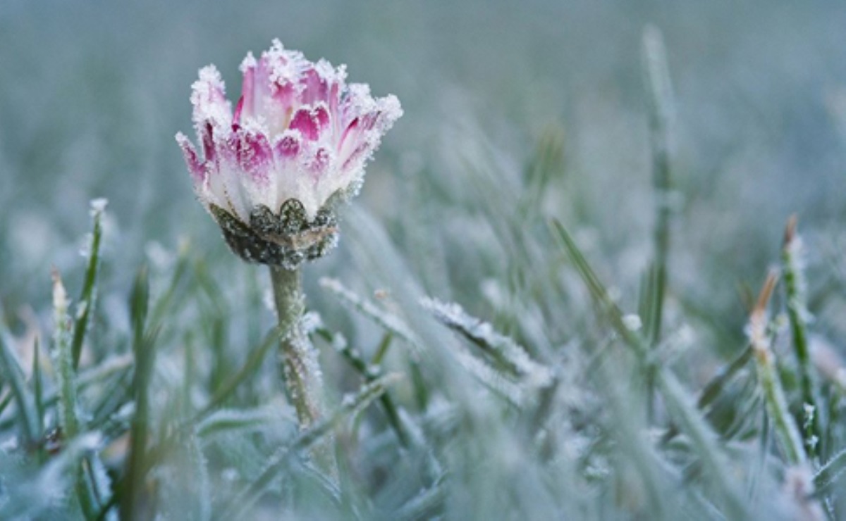 Погода: метеорологическое предупреждение на ближайшие двое суток