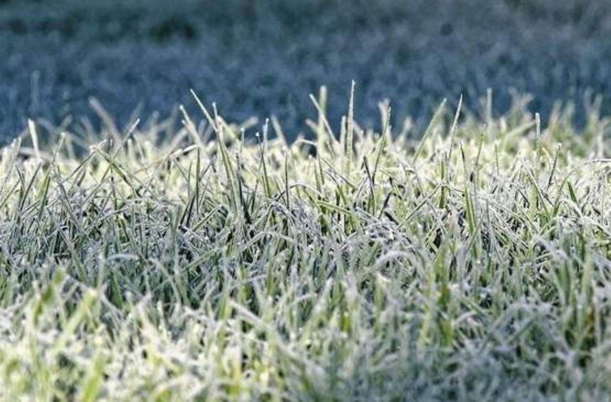 Синоптики наобещали ночные заморозки
