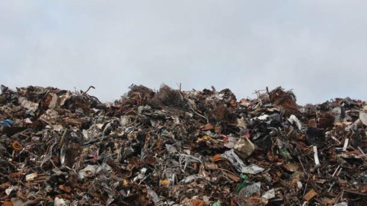 В Киеве хотят увеличить штрафы за выбрасывание мусора