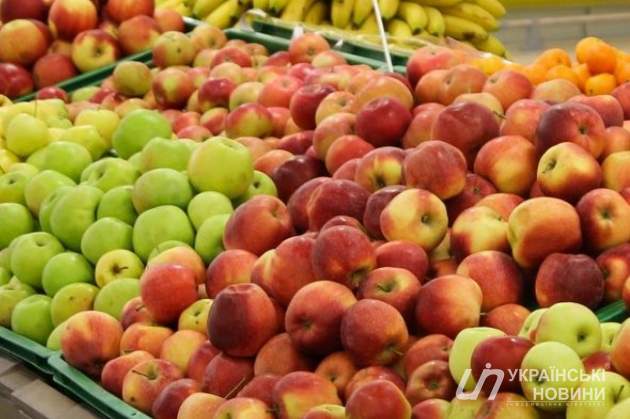 Украина вошла в пятерку мировых лидеров экспорта фруктов