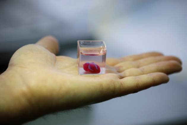 Ученые впервые создали на 3D-принтере сердце из тканей человека. Фото