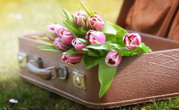 Плюс 20 и не только, прогноз погоды на неделю