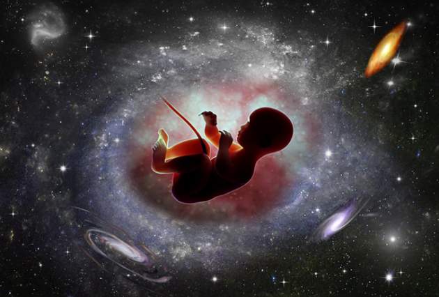 Ученый утверждает, что сознание появляется до рождения человека