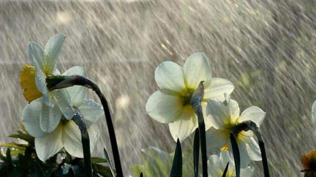 Будет лить и греметь: украинцев ждет неделя похолодания