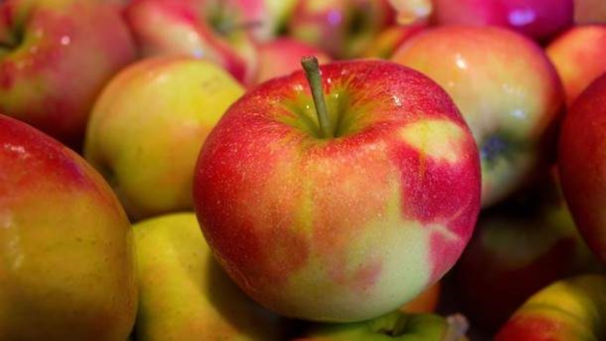 В Украине подскочили цены на яблоки