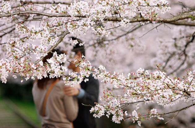 Любовный гороскоп на май: прогноз для всех Знаков Зодиака