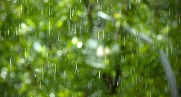 Погода на 2 мая: синоптики огорчили прогнозом