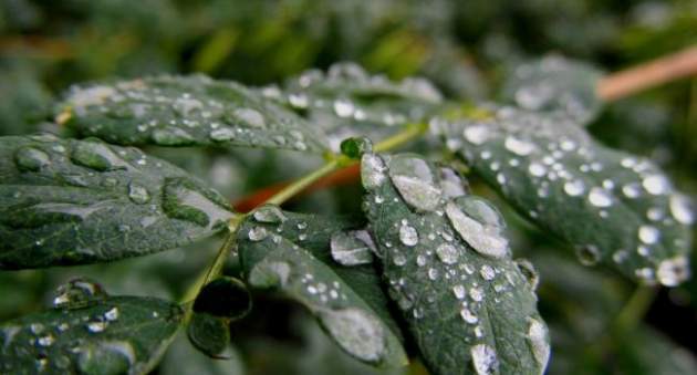 Летний прогноз: Народный синоптик рассказал о погоде в ближайшие месяцы