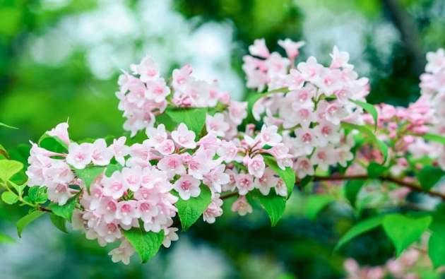 У этих знаков Зодиака май будет лучшим месяцем 2019 года