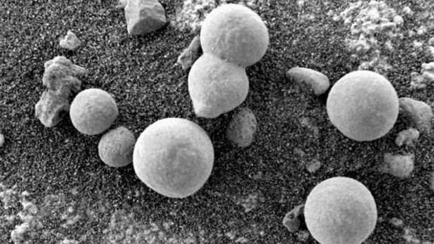 Ученые утверждают, что на Марсе… растут грибы