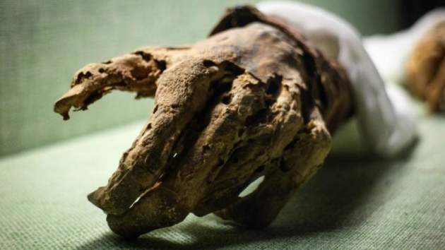 Сенсация в мире ученых: 200-летняя мумия оказалась... живой