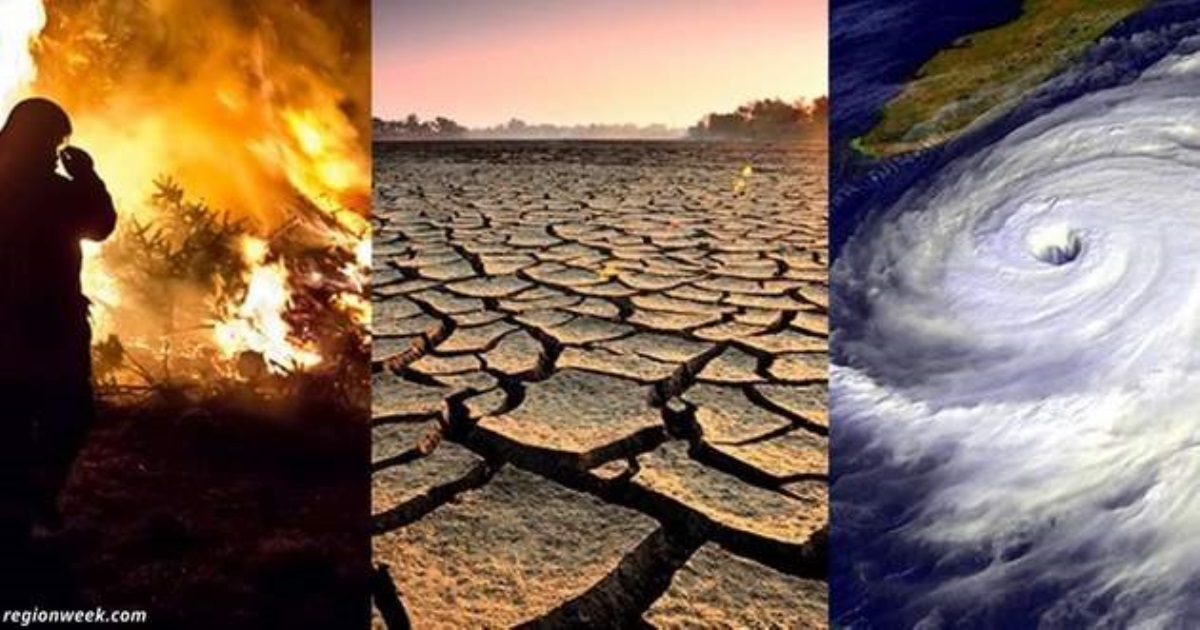 Сценарий апокалипсиса: вот что будет с планетой через 30 лет, если все останется, как сейчас