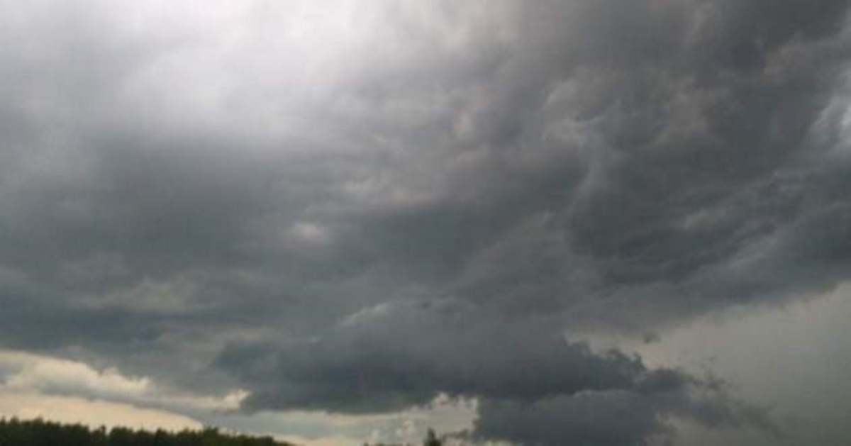 Окрестности Бердичева засыпало "снегом"