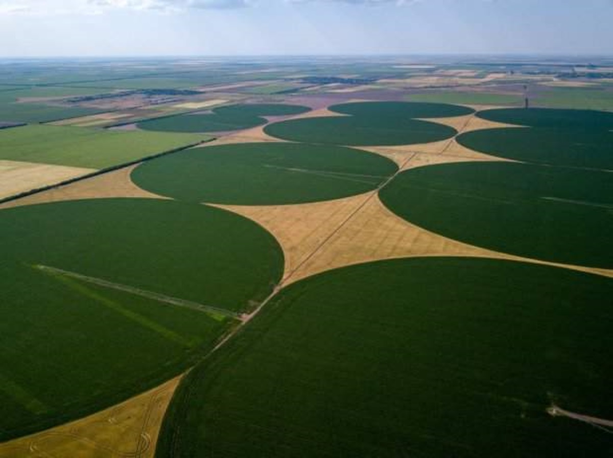 НЛО под Херсоном обустроили себе базу: фотофакт