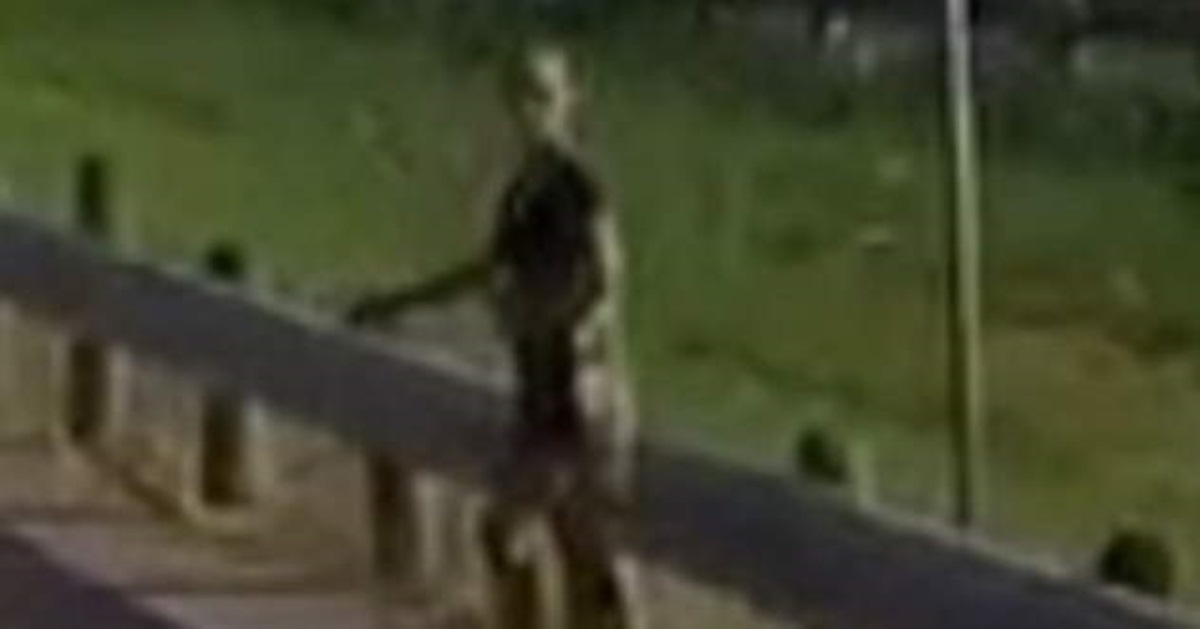 Пришельцы уже на Земле: ученый нашел живого инопланетянина