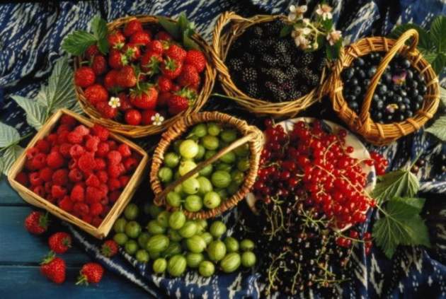 Медики определили самые полезные ягоды