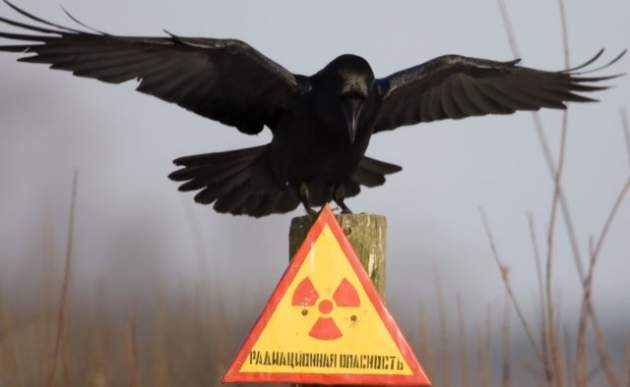 Самые радиоактивные места Чернобыльской зоны: как сейчас выглядит Припять
