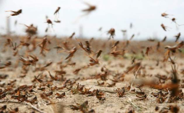 Предвестник Апокалипсиса замечен в небе: глазам не верится