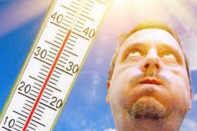 7 проверенных способов пережить жару