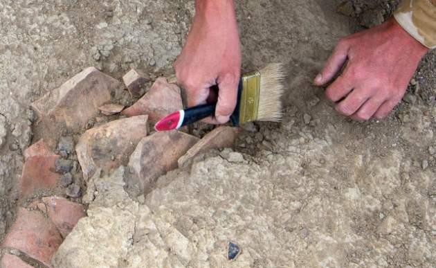 Ученые нашли голову древнего монстра возрастом 40 тысяч лет