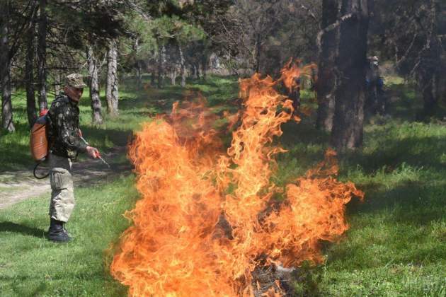 По всей Украине объявлена чрезвычайная пожарная опасность