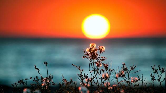 Летнее солнцестояние: самый долгий день в году