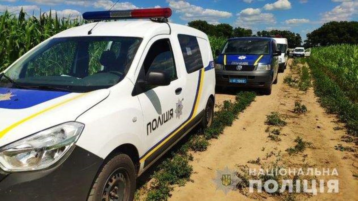 На кукурузном поле в Киевской области нашли еще один труп задушенной женщины