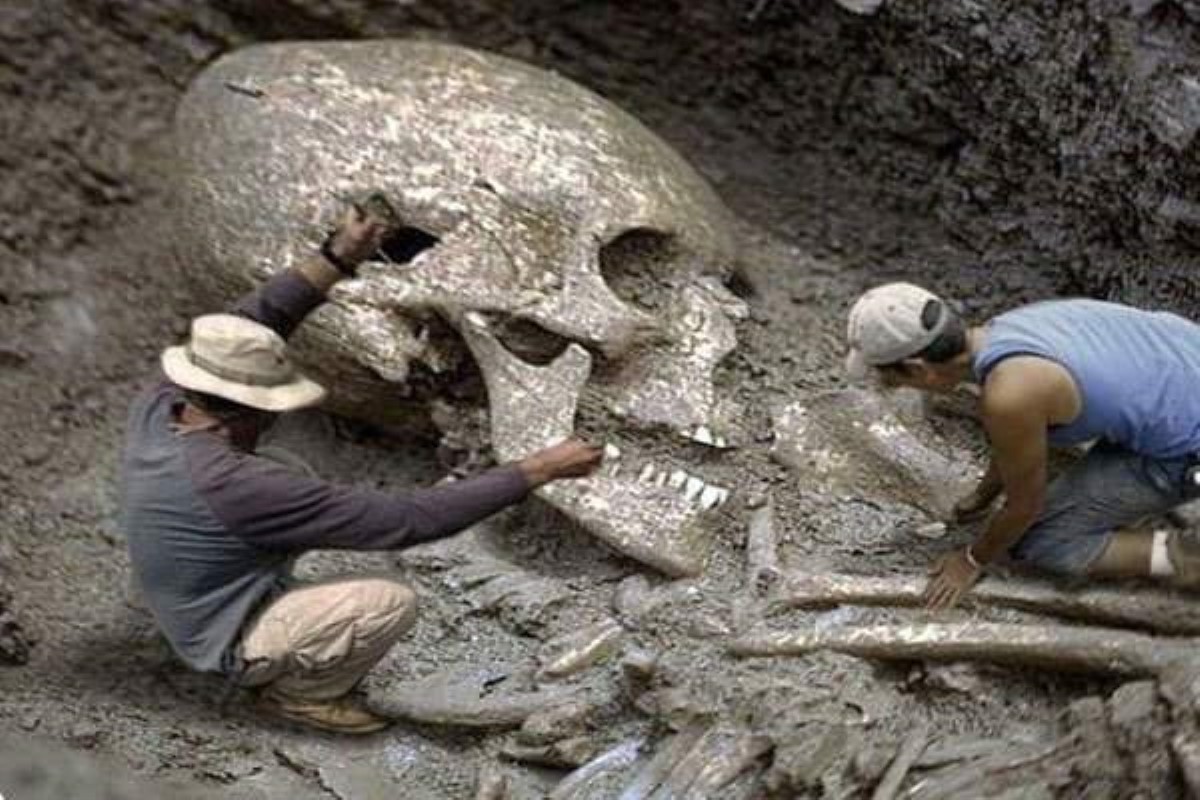 В Гоби обнаружили скелет невероятных размеров