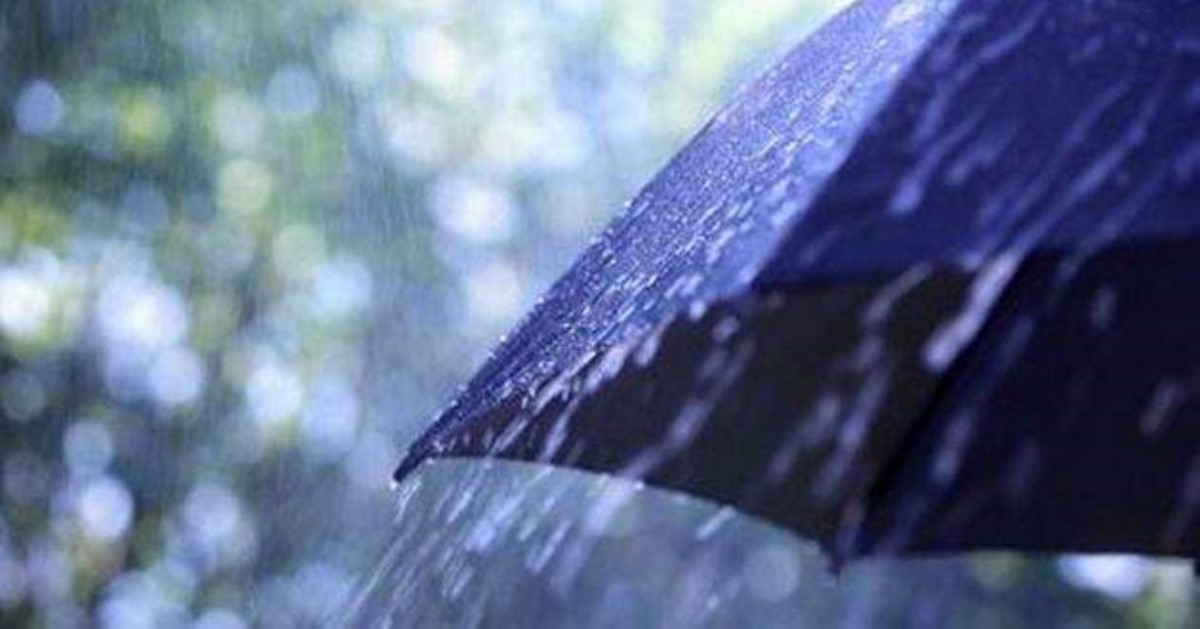 Зонты можно не прятатть: прогноз погоды в Украине на неделю