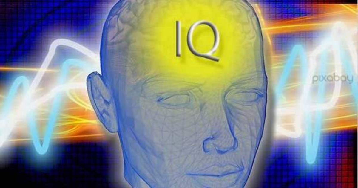 Iq тест в картинках покажет на сколько вы умны