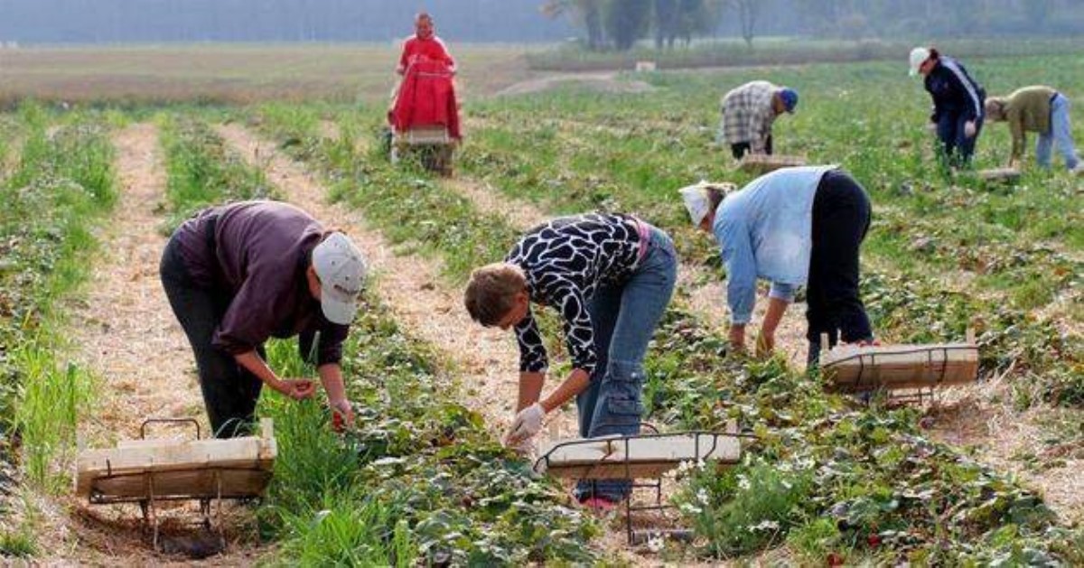 Статистика "бегства" украинцев на Запад: в Минфине рассказали, сколько укатило за рубеж