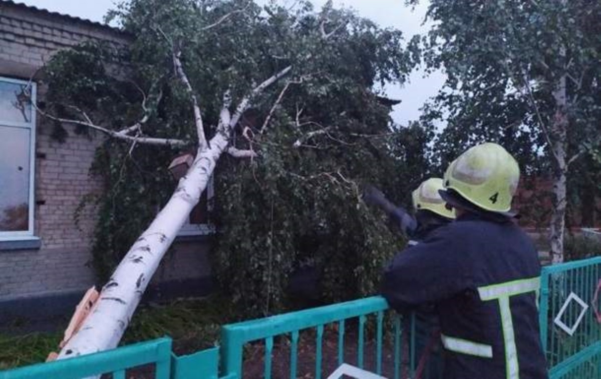 В Запорожской области ветер валил деревья и срывал крыши