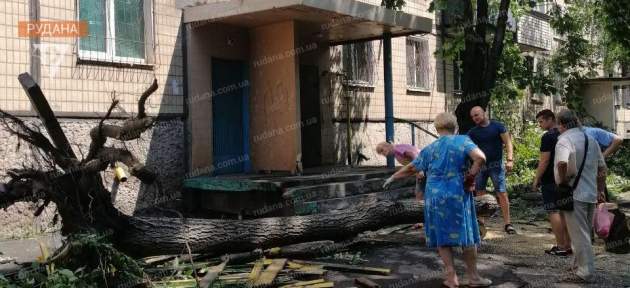 В Кривом Роге во время урагана погибли три человека