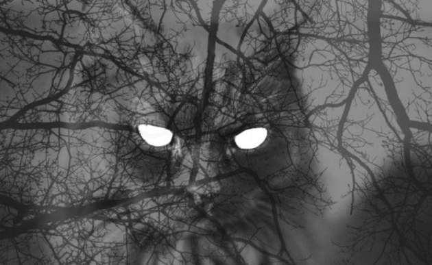 Призрак в гараже до седых волос напугал охранника