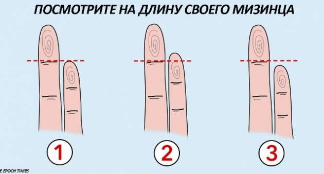 Что может рассказать о здоровье длина вашего мизинца