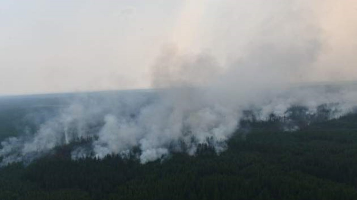 Масштабные пожары в Сибири: площадь возгорания выросла