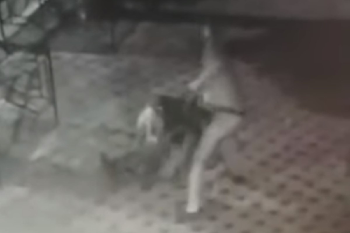 Неизвестный выстрелил охраннику в голову из-за замечания. Видео