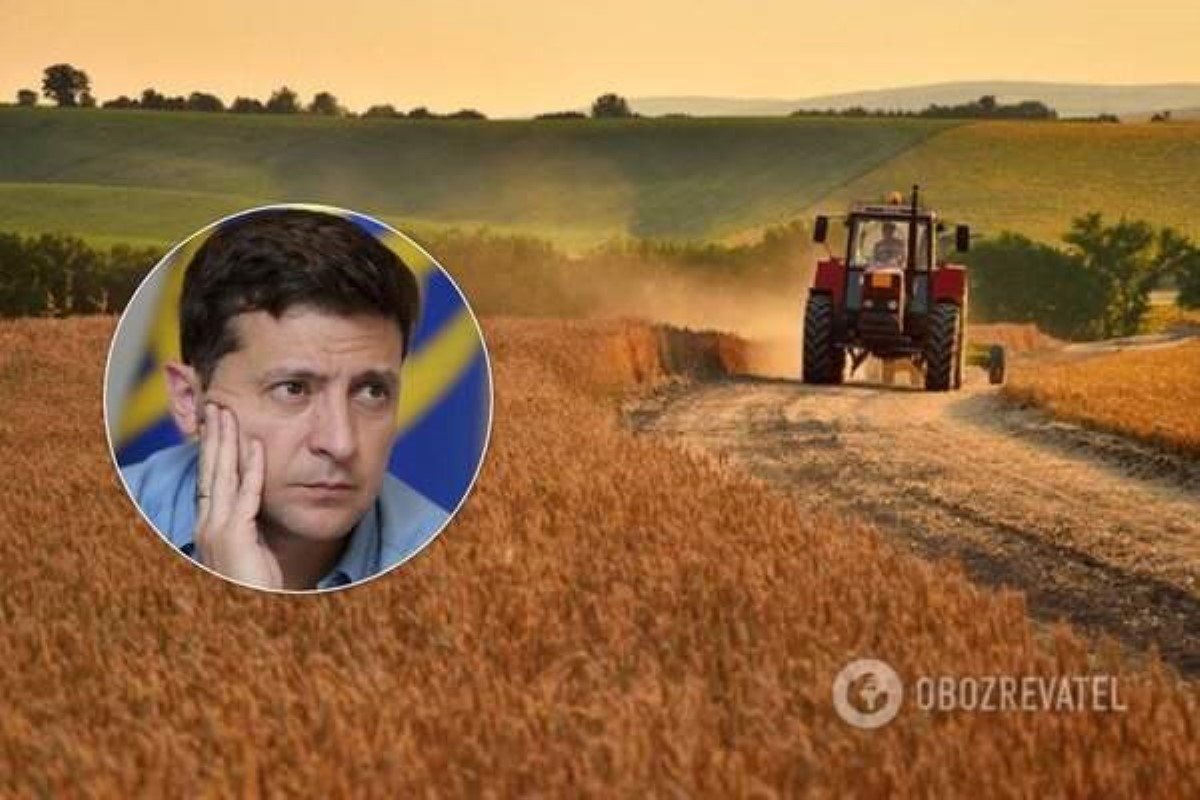 Рынок земли откроют: Зеленский назвал дату запуска масштабной реформы