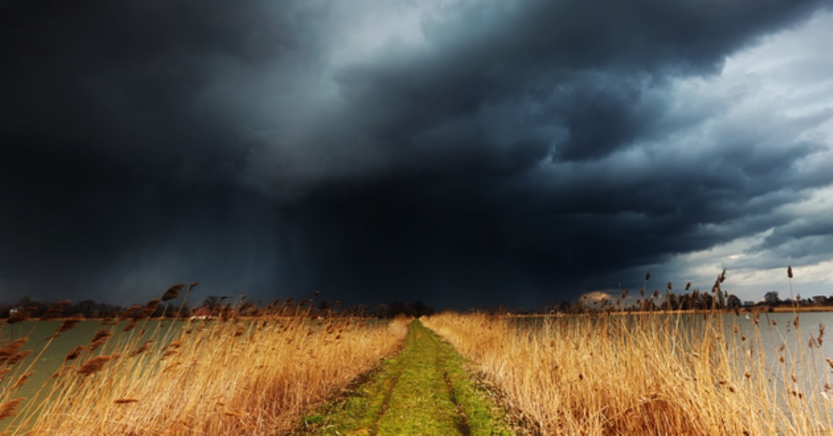 Грозовые дожди и аномальная жара до +35  разорвут страну на части