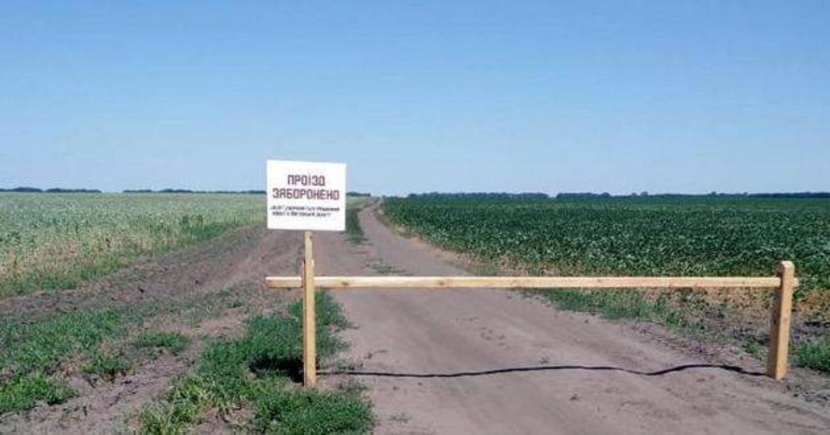 Под Полтавой нашли гигантское маковое поле: его стоимость — 7 миллиардов