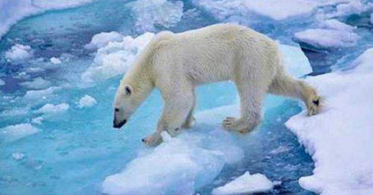 В Арктике 35‎ °C — абсолютный рекорд за всю историю
