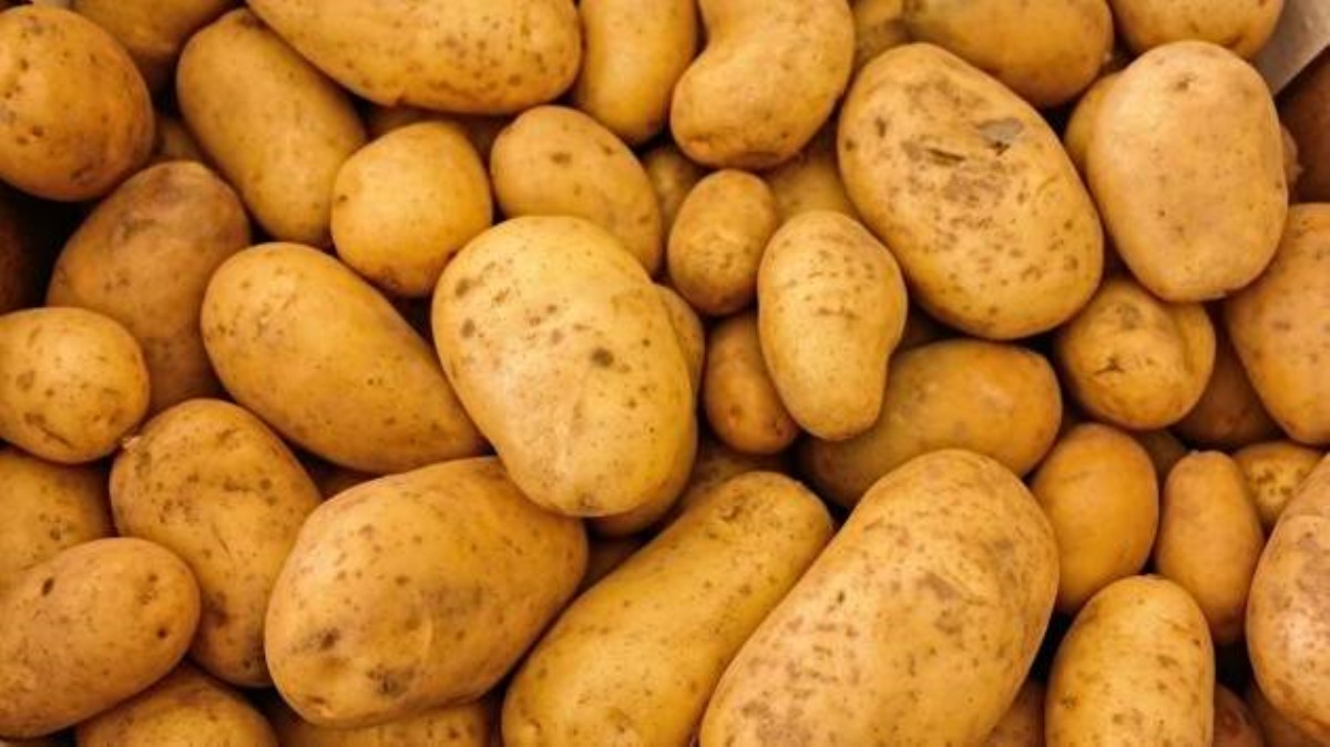 Рекордные цены на картофель неожиданно снизились