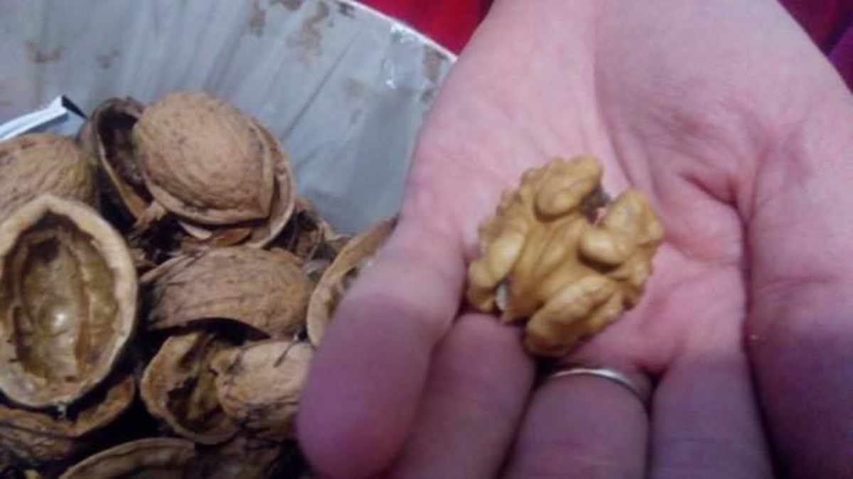 Ореховый Спас: сегодня гадают на любовь и счастье в семье