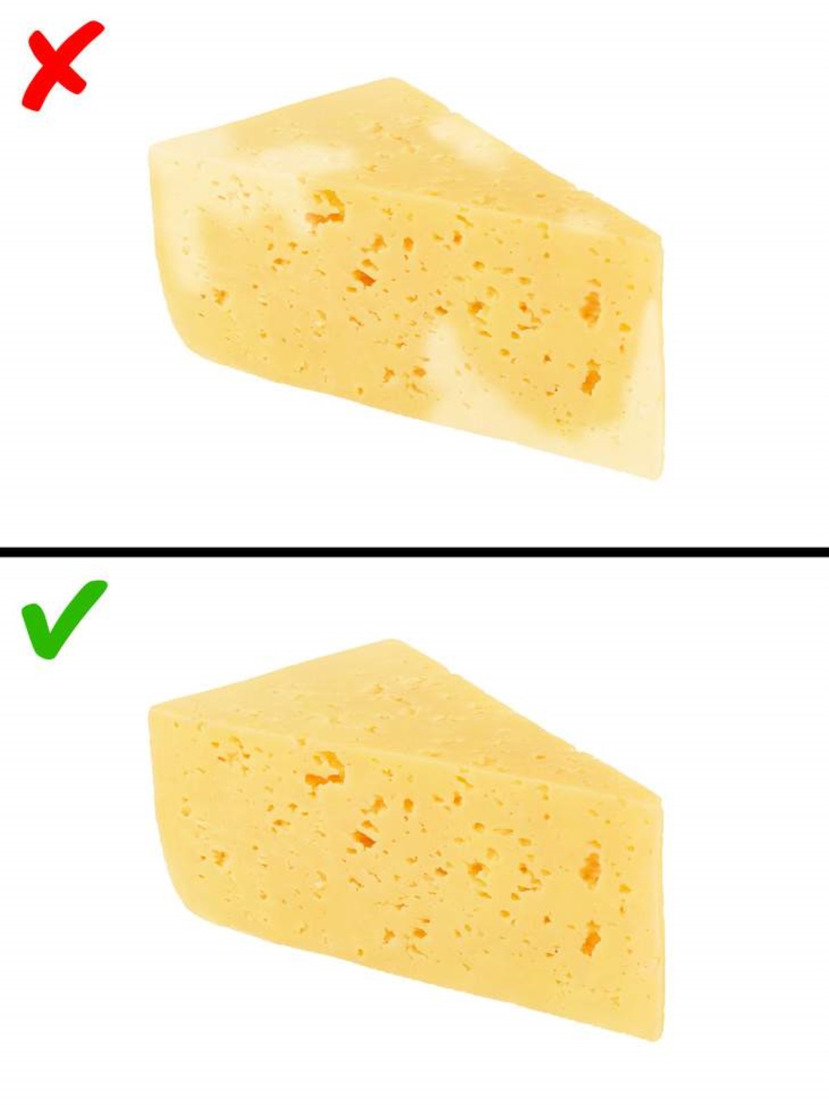 Как отличить сыр. Твердый сыр с плесенью. Сыр твердый. Сыр обычный. Правильный сыр.