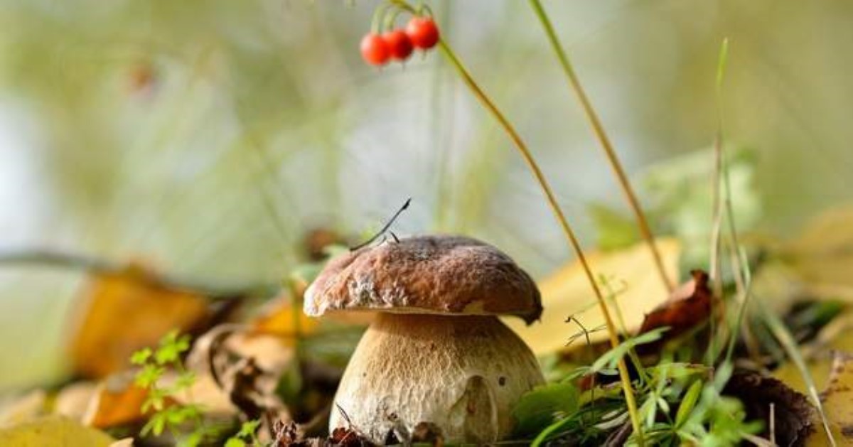 В последний день лета погода вновь озадачит украинцев